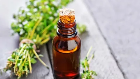 تصویر 3 از خرید و قیمت گیاه دارویی آویشن باغی + فروش عمده